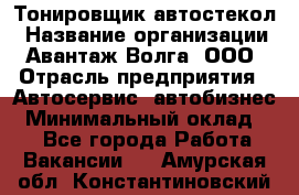 Тонировщик автостекол › Название организации ­ Авантаж-Волга, ООО › Отрасль предприятия ­ Автосервис, автобизнес › Минимальный оклад ­ 1 - Все города Работа » Вакансии   . Амурская обл.,Константиновский р-н